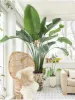Artificial Plants Supplier in Delhi