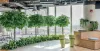 Artificial Tree Wholesaler in Delhi
