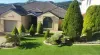 Artificial Grass