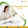 Online Professional Essay Writing Services for UK Students |