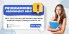 Your Comprehensive Guide to Programming Assignment Help