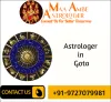 Astrologer in Gota