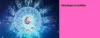 Save your business with help from an Astrologer in Halifax - TheOmniBuzz