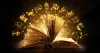 Best Astrologer In Etobicoke