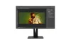  The 7 Best Monitors for Photo Editing in 2019   - Jogeshocp 
