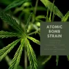 Atomic Bomb Strain 