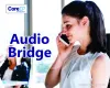 Call audio bridge in noida