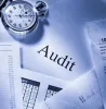 Gross Turnover Audit