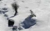 Auli Chopta Tour Package, Auli Skiing, Chopta Tungnath Tour