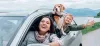 Alchemy Insurance Agency: Selling Best Insurance Services and Products