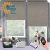 Automated Window Treatments