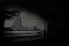 WHAT are the symptoms of automatonophobia?