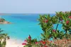 Avoid These Mistakes When Going For A St. Thomas Tour