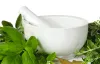 What Are The Ayurvedic Herbs For Kidney Damage? - Go2Article