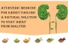 Ayurvedic Medicine for Kidney