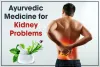Use of Ayurvedic Medicine for Kidney Problems