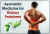 Is Ayurvedic Medicine For Kidney Problems Really Beneficial?