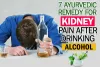 7 Ayurvedic Remedy for Kidney Pain after Drinking Alcohol