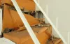 Termites Pest Control Singapore | Termite Control Singapore