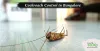 Understanding the Cockroach in a Better Way