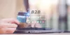 How to set B2B Collection Payment Terms?