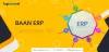 Baan ERP Users Email List | LogiChannel