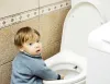To Flush Or Not To Flush Your Toilet