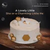 baby_shower_cake_8_1.png