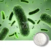 bacillus clausii powder, bulk bacillus clausii powder
