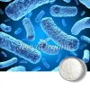 bacillus licheniformis powder, bulk bacillus licheniformis powder, bacillus licheniformis