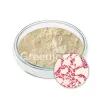 probiotics benefits, probiotic supplements, lactobacillus probiotic, bacillus subtilis probiotic, bacillus coagulans benefits, bacillus coagulans powder