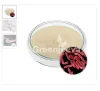 bacillus subtilis, bacteria subtilis, bacteria bacillus subtilis, bacillus subtilis products, wholesale protein products, bulk protein powder wholesale, athletic performance