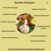 Back to Roots Ayurveda