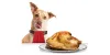 Can Dog Eats Turkey | Can Dogs Eat Turkey Bones | petsfoodnutrition.com