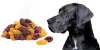 Can Dog Eats Raisins | My Dog Ate 3 Raisins | Petsfoodnutrition