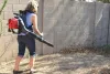 Why is It Advantageous to Choose Backpack Leaf Blowers?
