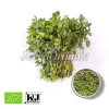 bacopa extract powder, organic bacopa powder, bulk bacopa extract