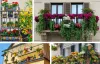 Balcony Garden Ideas and Tips for Your Home