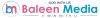 Best Advertising Agency in Chennai | Leading Advertising Company in Chennai | Baleen  Media.
