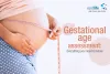 Gestational Age Assessment: Everything You Need To Know
