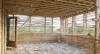 Types of Bamboo in Construction | Importance of Bamboo in Construction