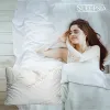 The Best Bamboo Pillow For Your Bed With Multiple Benefits