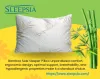 Bamboo Pillow Memory Foam