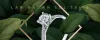 Synthetic Diamond Manufacturers