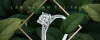 Best Lab Grown Diamonds Manufacturers in USA
