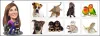 Pet Sitter North Richland Hills