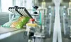 Food Processing Machines Manufacturers, Food Processing Equipments Suppliers & Exporters