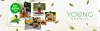 Natural and Pure Essential Oils 