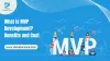 What is MVP Development: Benefits and Cost
