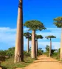 Things to do in Madagascar